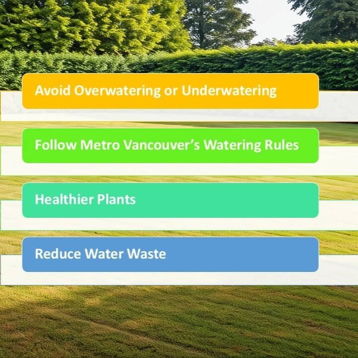 Water-Wise Landscaping: Zone Splitting for Vancouver Gardens An infographic showing the benefits of irrigation zone splitting, including avoiding overwatering, following Metro Vancouver's watering rules, healthier plants, and reducing water waste.