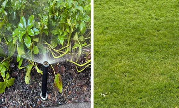 Separate Zone Irrigation for Lawns & Gardens on Bowen Island Two-panel image showing irrigation sprinkler in garden bed and lush green lawn, illustrating separate watering zones on Bowen Island.