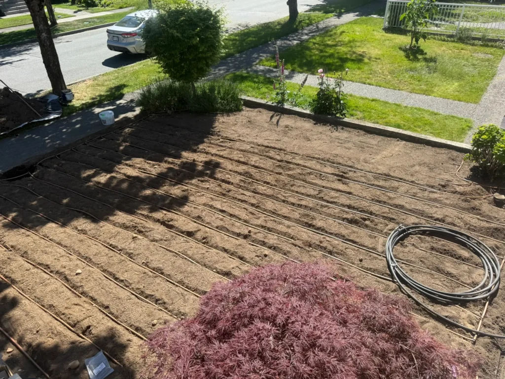 Professional subsurface drip irrigation grid installation for a residential lawn in North Vancouver.