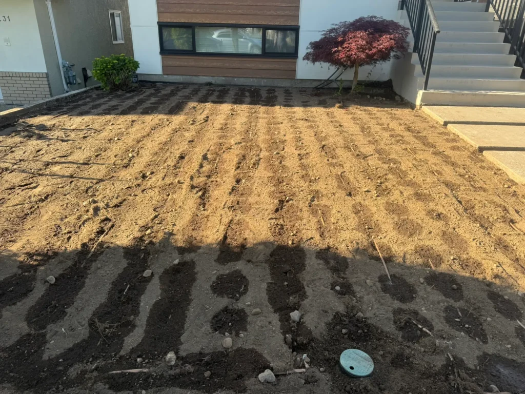 Subsurface drip irrigation lines being installed under a new lawn in Vancouver to ensure water efficiency.
