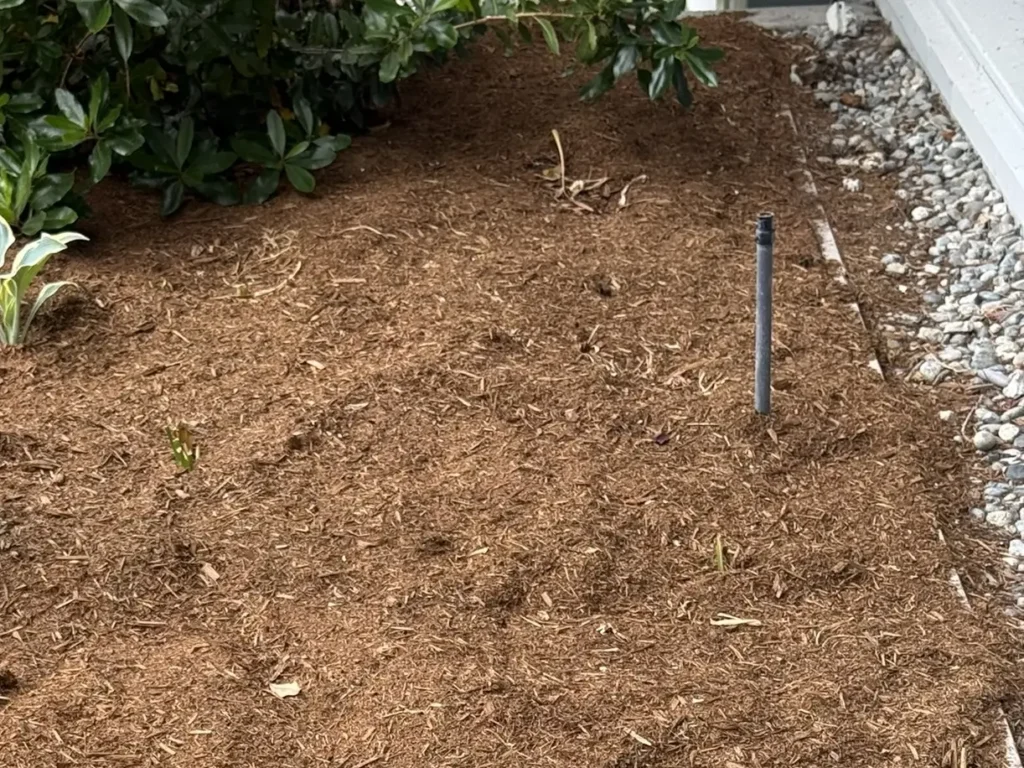 A single vertical sprinkler riser pipe protruding from a freshly mulched garden bed next to a river rock border, prepared for a retrofit drip irrigation conversion.